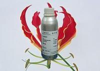 供應(yīng)中藥油OEM/中草藥油/中藥油貼牌廠家[供應(yīng)]_植物提取物_世界工廠網(wǎng)中國產(chǎn)品信息庫