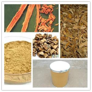 桑白皮提取物10:1 植物提取物 西安昌岳現(xiàn)貨供應 中藥提取